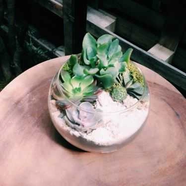 Tổng hợp- Green Oasis - Coffee & Workshop