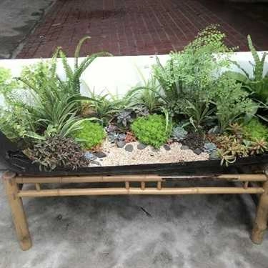 Tổng hợp- Green Oasis - Coffee & Workshop