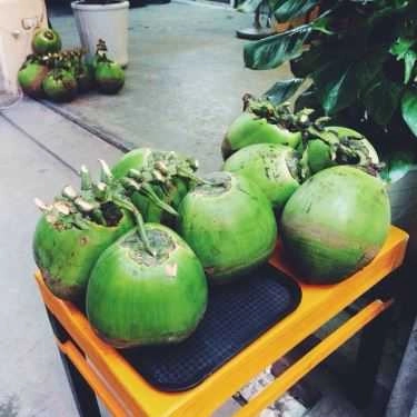 Tổng hợp- Ăn vặt Hà Quán - Trà Đào