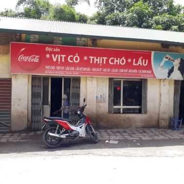 Tổng hợp- Quán Nhậu Hải Tiến - Thịt Chó & Vịt Lẩu