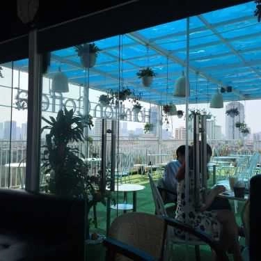 Tổng hợp- Hamilton Coffee