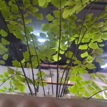 Tổng hợp- Cafe HanoiHub Coworking Space - Láng Hạ
