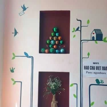 Tổng hợp- Cafe Hăo Chá - Trà Sữa Đài Loan