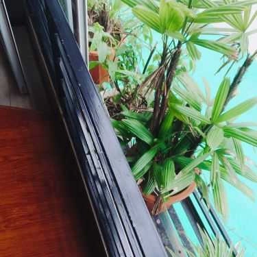Tổng hợp- Highway Cafe