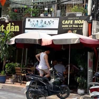 Tổng hợp- Hoa Cafe - Đào Tấn