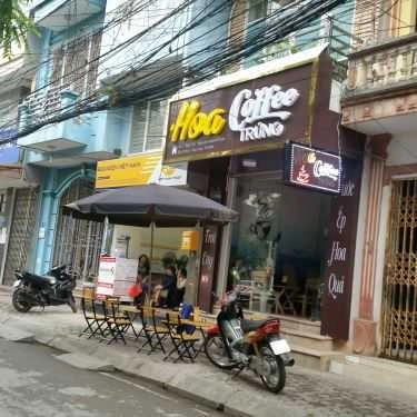 Tổng hợp- Hoa Coffee - Nguyễn Khánh Toàn