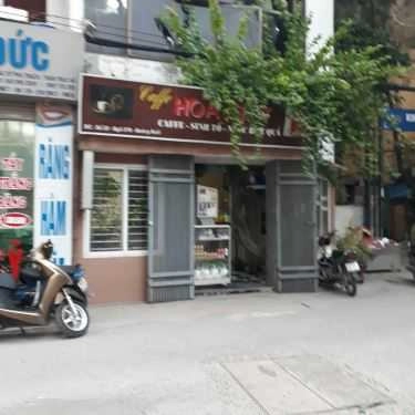 Tổng hợp- Hoa Giấy Coffee - Đường Bưởi