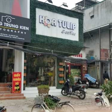Tổng hợp- Hoa Tulip Coffee