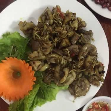 Tổng hợp- Quán Nhậu Hoàng Duy Quán - Gà Cựa Tây Bắc & Hải Sản Bụi 3 Miền