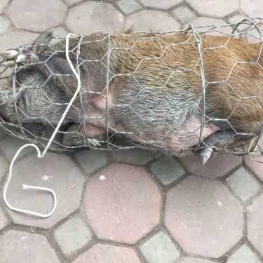 Tổng hợp- Quán Nhậu Hoàng Duy Quán - Gà Cựa Tây Bắc & Hải Sản Bụi 3 Miền