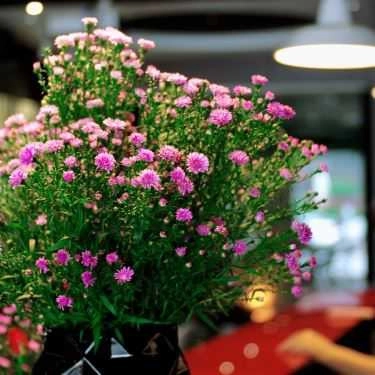 Tổng hợp- Home Studio Bar & Cafe - KĐT Mỗ Lao