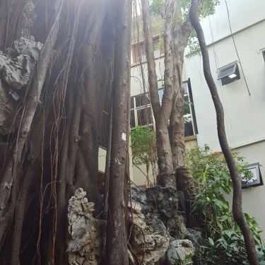 Tổng hợp- Huy Cafe - Karaoke