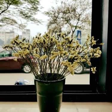 Tổng hợp- Jen Cafe & Juice