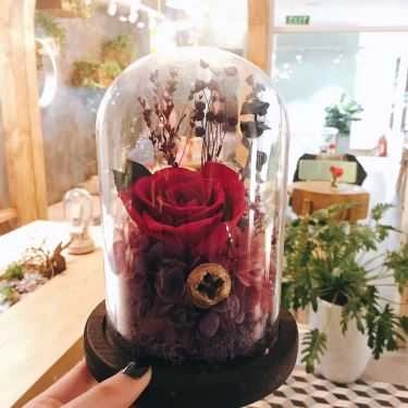 Tổng hợp- Cafe JOTO Tea House - Phan Bội Châu