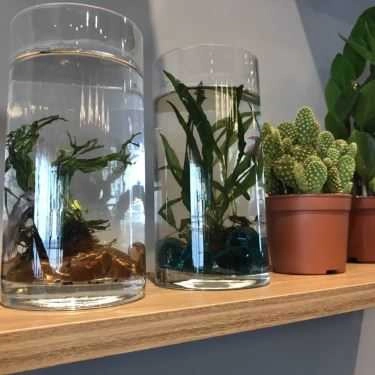 Tổng hợp- Cafe Juicybean - Nước Ép Trái Cây