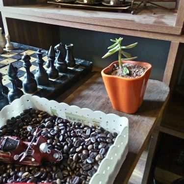 Tổng hợp- Kafeville Cafe