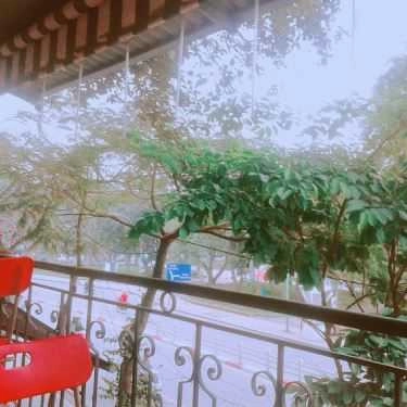Không gian- Cafe Kem Dừa & Thạch Dừa Xiêm - Thanh Niên