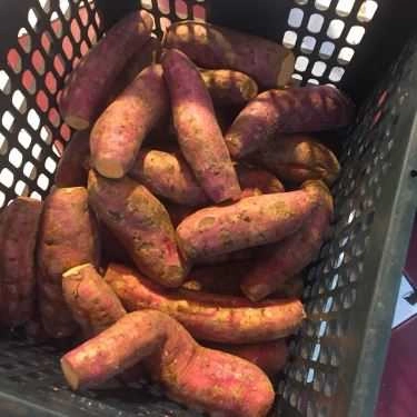 Tổng hợp- Ăn vặt Khoai Lang Nướng - Chợ Hàng Bè
