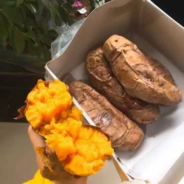 Tổng hợp- Ăn vặt Khoai Lang Nướng - Chợ Hàng Bè