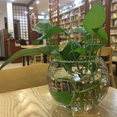Tổng hợp- Không Gian Văn Hóa Đông Tây - Biblio Coffee & Books - Xa La