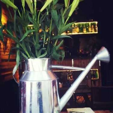 Tổng hợp- Kiến Coffee - Nhuệ Giang