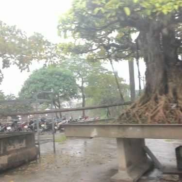 Không gian- Biển Đông - Nhà Hàng Sinh Thái