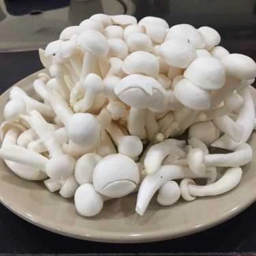 Tổng hợp- Nhà Hàng King Mushroom - Vua Lẩu Nấm Thiên Nhiên