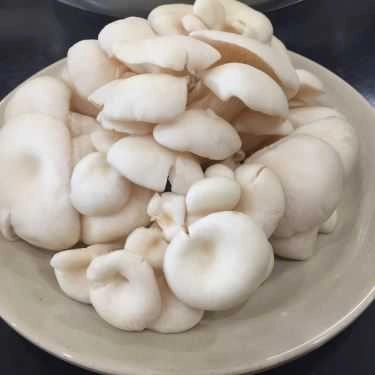 Tổng hợp- Nhà Hàng King Mushroom - Vua Lẩu Nấm Thiên Nhiên