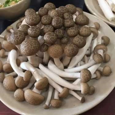 Tổng hợp- Nhà Hàng King Mushroom - Vua Lẩu Nấm Thiên Nhiên