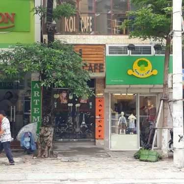 Tổng hợp- Koi Cafe