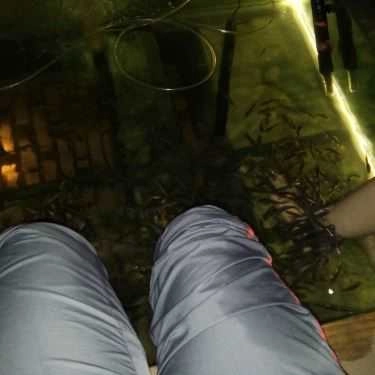 Tổng hợp- Koi - Cafe & Spa