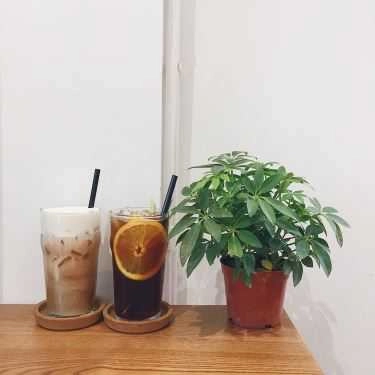 Tổng hợp- Kone Cafe