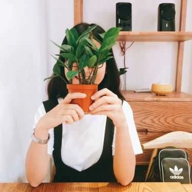 Tổng hợp- Kone Cafe