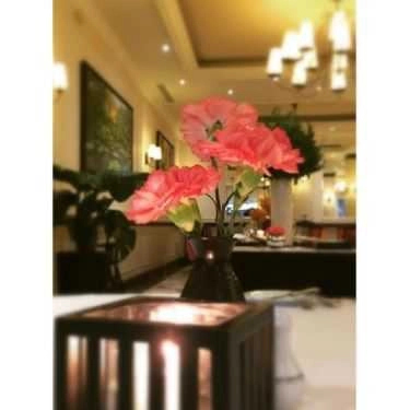 Tổng hợp- La Terrasse du Metropole Cafe - Sofitel Legend Metropole Hanoi