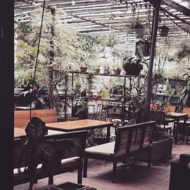 Tổng hợp- LAcA Cafe - Lyquocsu Art Cafe Area