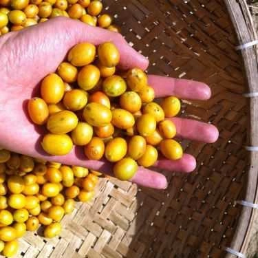 Tổng hợp- Lamaca Coffee - Nguyễn Văn Lộc