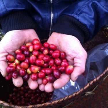 Tổng hợp- Lamaca Coffee - Nguyễn Văn Lộc