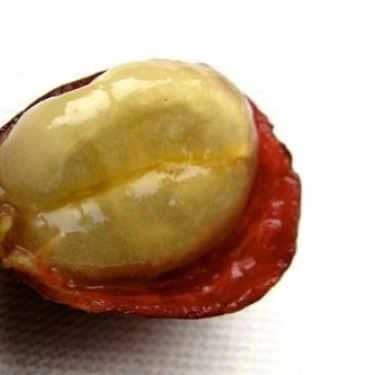 Tổng hợp- Lamaca Coffee - Nguyễn Văn Lộc