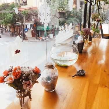 Tổng hợp- Petit Jardin Cafe
