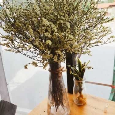 Tổng hợp- Petit Jardin Cafe
