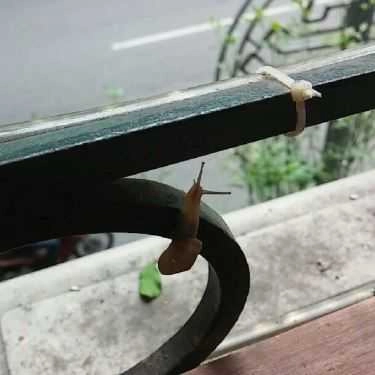 Tổng hợp- L'etage Cafe - Hàng Khay