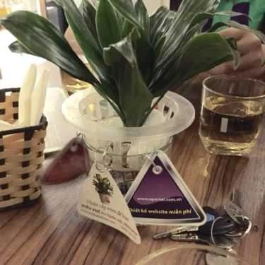 Tổng hợp- Like Coffee - Hào Nam