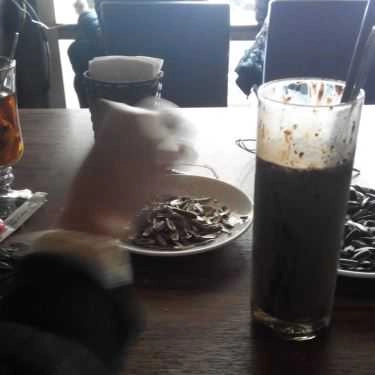 Món ăn- Like Coffee - Hào Nam