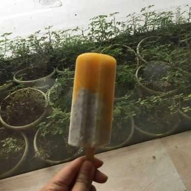 Tổng hợp- Cafe Limu Icecream - Kem Trái Cây & Sữa Chua Homemade
