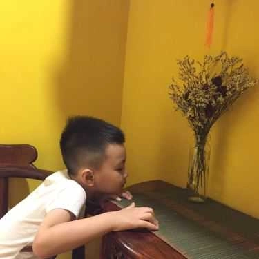 Tổng hợp- Cafe Linh Trà Quán