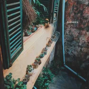 Tổng hợp- Loading T Cafe