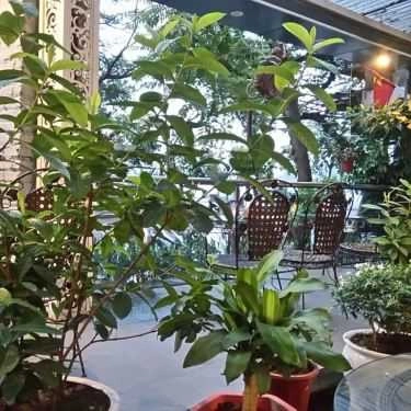 Tổng hợp- M Coffee - Thụy Khuê