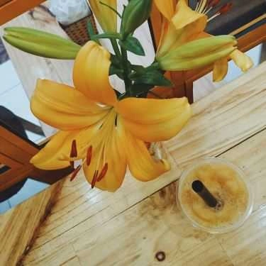 Tổng hợp- Cafe M-tea