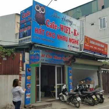 Tổng hợp- Mai Hương Cafe