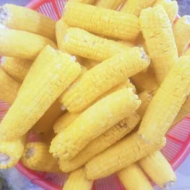 Tổng hợp- Ăn vặt Mai Lan - Bánh Mì & Sữa Xay Nguyên Chất